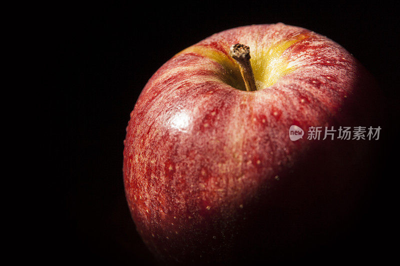 黑背景上的Gala Apple